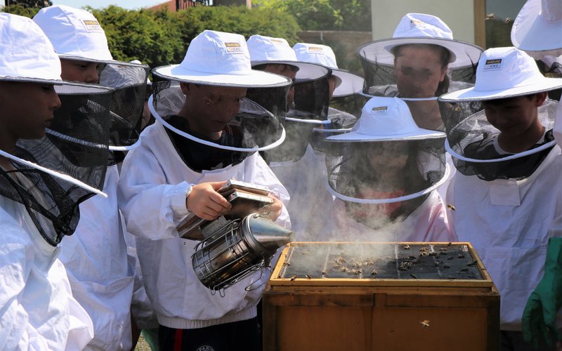 Kinder in Imkerkleidung vor einem Bienenkasten.